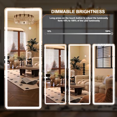 21"x56" Rectangular Full Length Mirror with LED Lights (56"L x 21"W)
