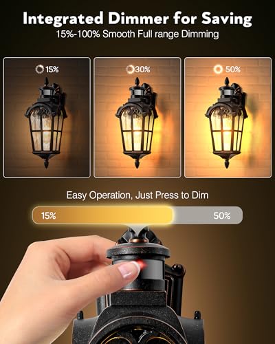 Outdoor Motion Sensor Light (Oil-Rubbed Bronze / 1-pack)