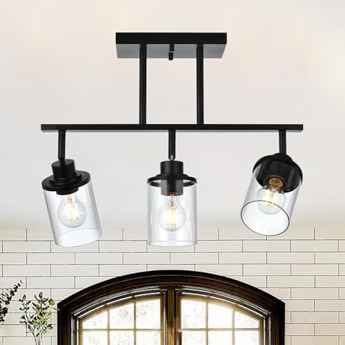 Track Lighting Fixtures 3 Light Ceiling Lights with Adjustable Track Heads (Black / 3-Light)