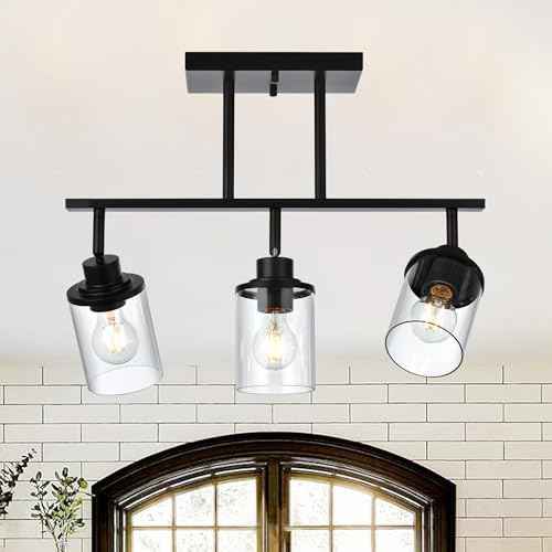 Track Lighting Fixtures 3 Light Ceiling Lights with Adjustable Track Heads (Black / 3-Light)