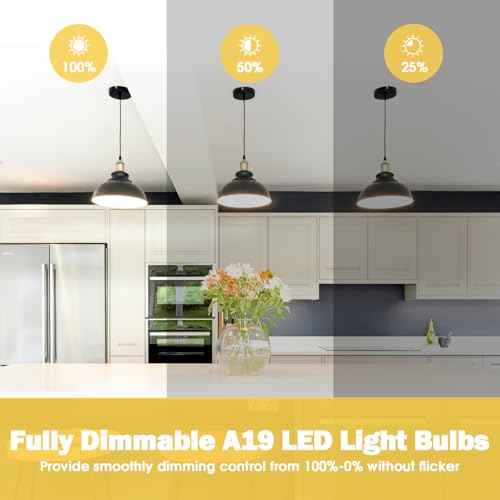 A19 LED Light Bulb 60W Equivalent (Soft White)