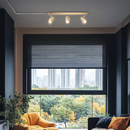 3-Light Plug-in Track Lighting, Matte Brass, Adjustable Heads, 15-Foot Cord, 59469 (Dale (Brass))