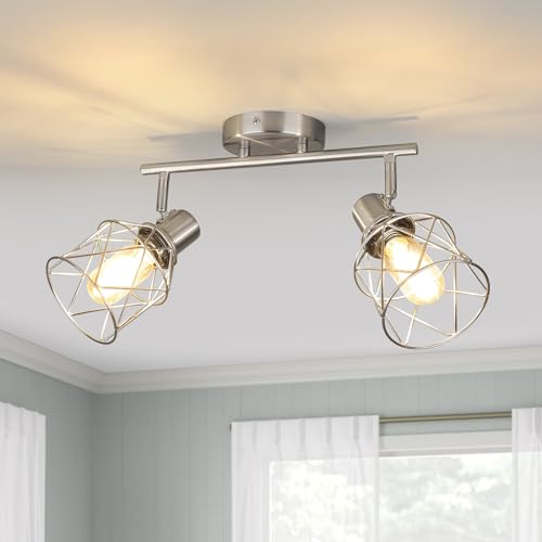 Industrial Track Lighting Kit (Brushed Nickel / 2-Light-Cage)