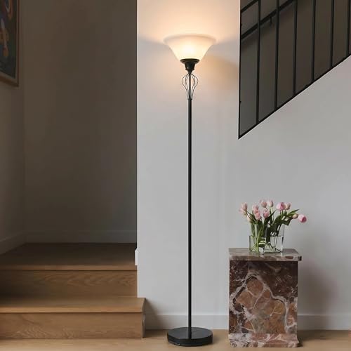 Floor Lamps for Living Room (Jet Black)
