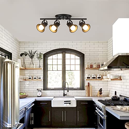 4 Light Track Lighting Kit (4-Light / Black)
