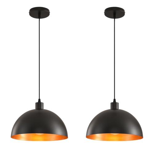 Plug in Pendant Light