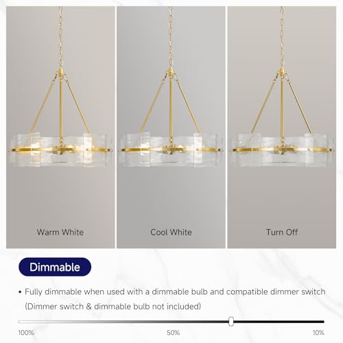 Modern Gold Drum Dining Room Chandeliers (Brushed Gold)