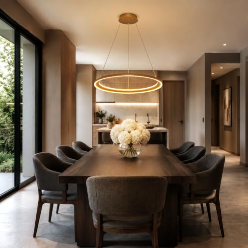 Modern Dimmable LED Chandelier (Gold / W24"-2 Ring)