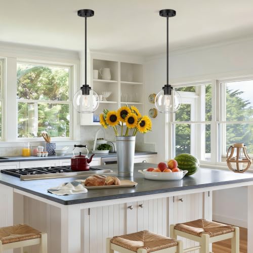 2 Pack Globe Pendant Lights (Matte Black + Clear Glass 2 Pack)