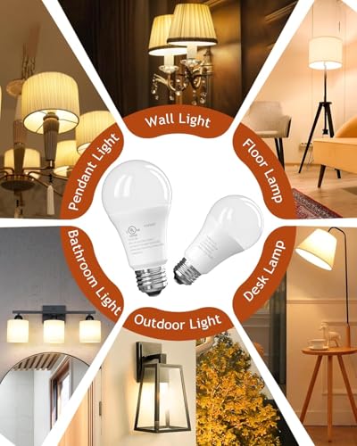 A19 LED Light Bulbs