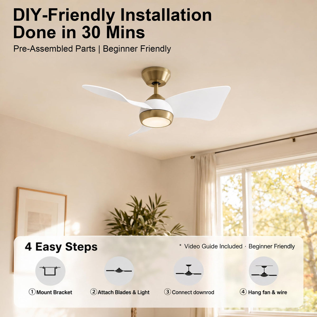 2 Pack 30" Small Ceiling Fan with Light (Brushed Brass & White / 30 Inch)