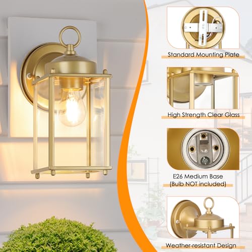 Large Outdoor Wall Lantern (Gold / 10.24 inch)