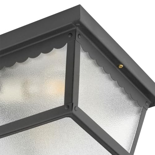 9.25" 2 Light Flush Mount Light (Matte Black / 9.25-Inch Diameter x 5-Inch Height / 2-Light)