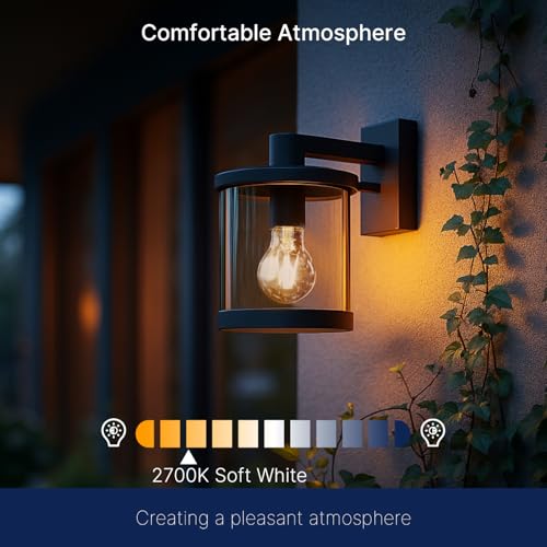 Dusk to Dawn Outdoor Sensor A19 LED Edison Bulbs (60w Soft White / 2 Count (Pack of 1))