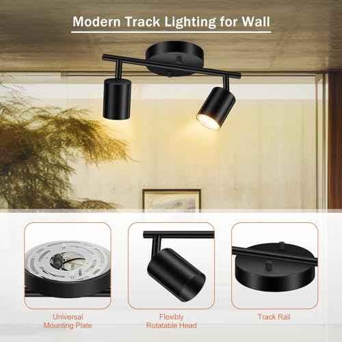 Black Track Lighting Ceiling (Black / 11.8" 2 Light Track Light)