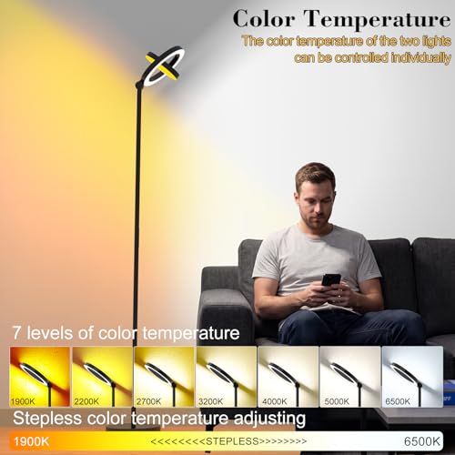 36W 2500lm Bright LED Floor Lamp for Living Room (Black)