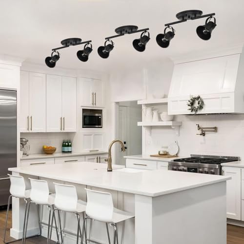 2 Light Track Lighting Kit (2-Light / Black)