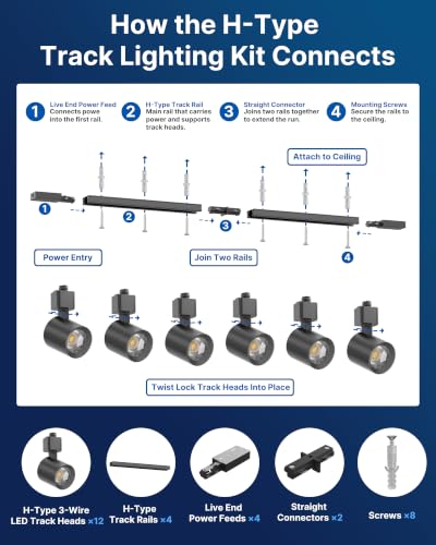 12 Light H Type LED Track Lighting Kit (Black)