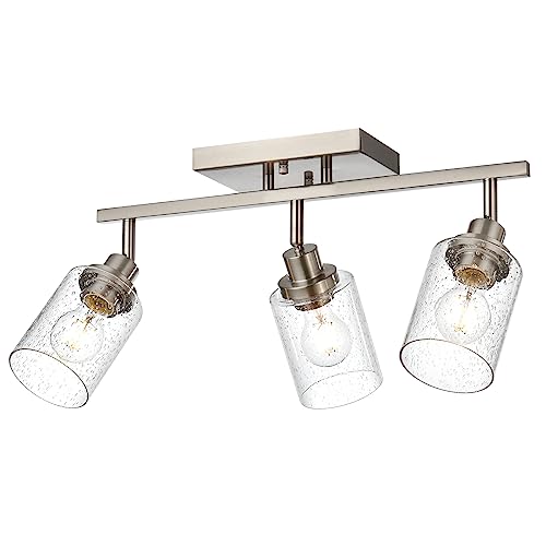 3 Light Rotatable Track Lighting Kit (Brushed Nickel / 3-Light)