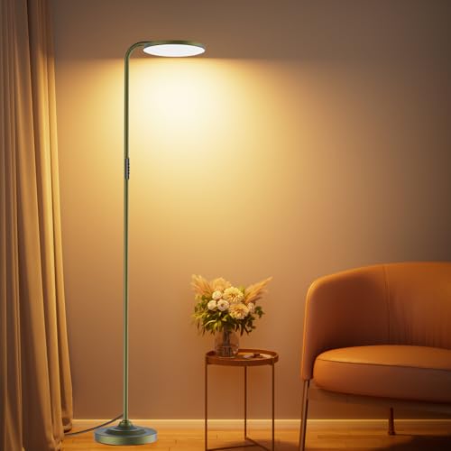 36W LED Floor Lamp (Bronze)