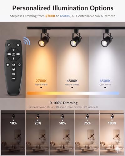 12 Pack LED Track Lighting Heads with Remote