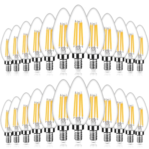 E12 LED Candelabra Bulbs (Warm White Light / 24 Count (Pack of 1))