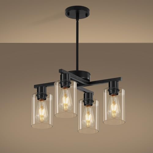 4 Light Black Farmhouse Chandelier (Black / 4-Lights/D18 '')
