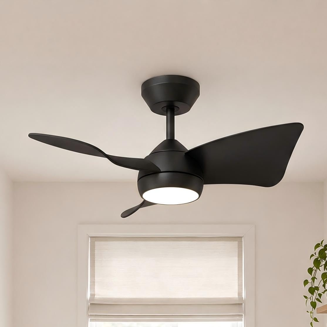 30 Inch Small Ceiling Fan with Lights (Matte Black / 30 Inch)