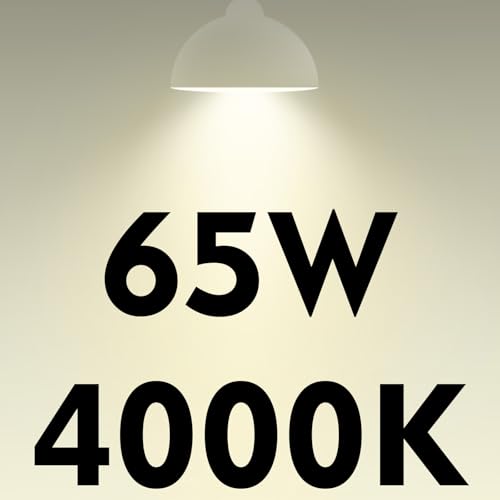 BR30 LED Light Bulbs Indoor Flood Light