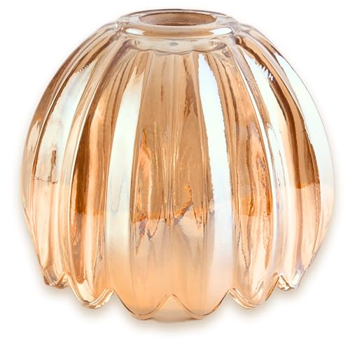 Small Glass Lamp Shades Art Blown Pendant Lamp Shade