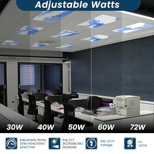 2 Pack 2x4 LED Flat Panel Light (2x4 FT - 2Pack)