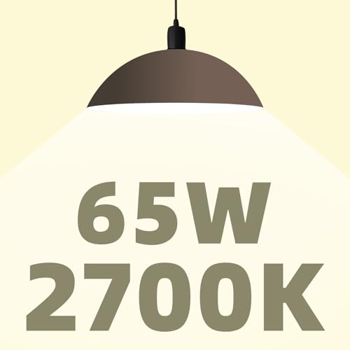 BR30 LED Bulb