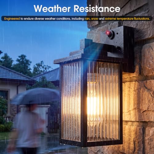2 Pack Motion Sensor Wall Light (Black / 10.6''-2 Pack)