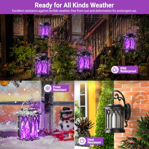 Hanging Solar Lights Lantern (Purple Light / 2 Pack)