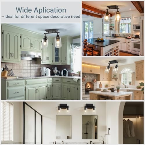 2 Light Kitchen Track Light Fixtures Ceiling Vanity Lights Black (Black / 2-Light)
