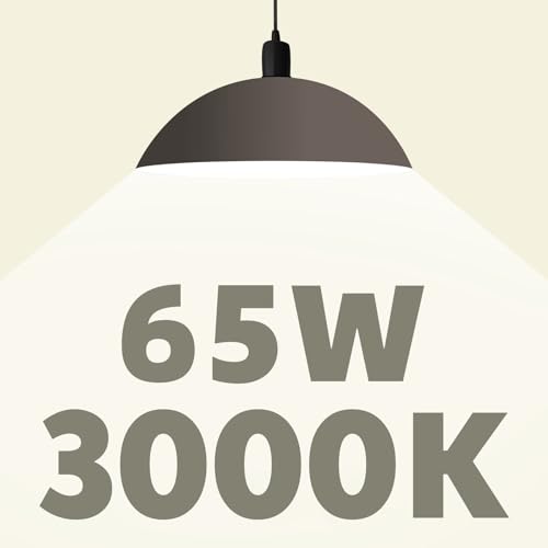 BR30 LED Bulb