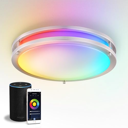 LED 16" Round Flush Mount Lighting (Brushed Nickel)