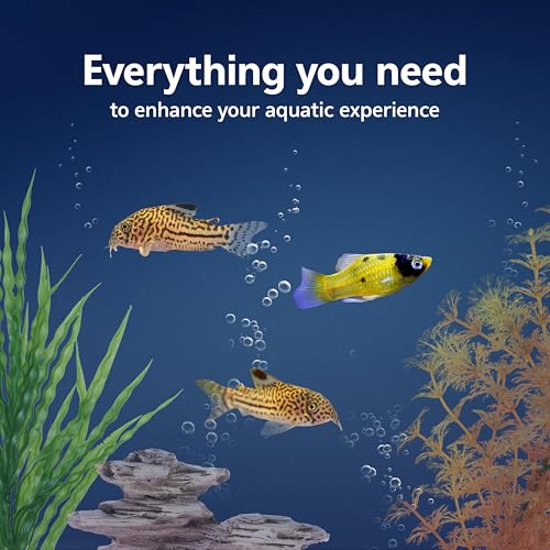Aquarium Starter Kit with Smart Clean Filtration and LED Lighting (Black / 10 Gallon)