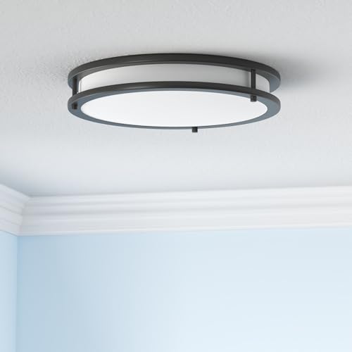 LED 16" Round Flush Mount Lighting (Black)