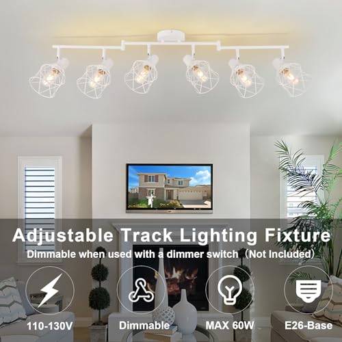 Track Lighting Fixtures (White / 6-Light-Cage)