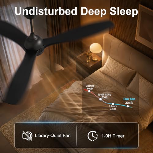 Ceiling Fan with Light