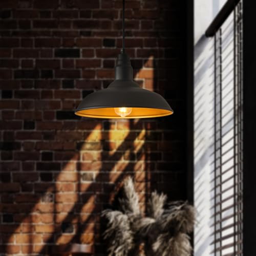 Farmhouse Pendant Lights with Large 14 Inch Dome (Matte Black / 14" Dome)