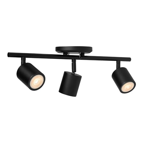 3 Light Track Lighting Kit (Black)