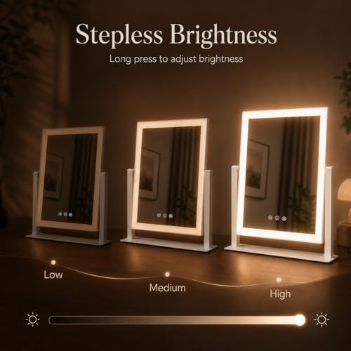 17.3 x 13 in Lighted Makeup Mirror (17.3"L x 13"W)