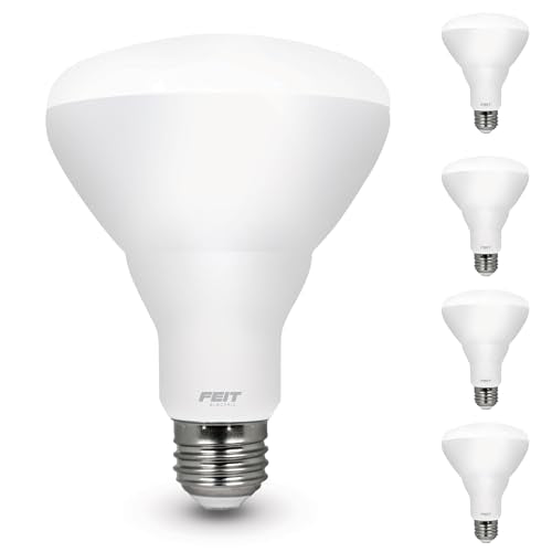 BR30 LED Light Bulbs (2700k Soft White / 4 Pack)