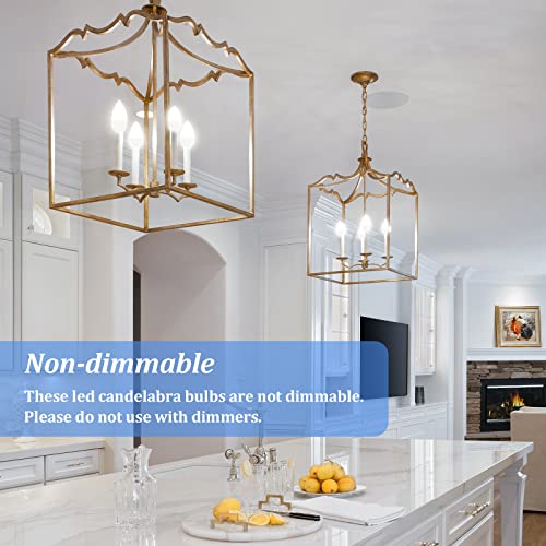 E12 Candelabra LED Light Bulbs 40W Equivalent (5000k Daylight White / 12 Pack)