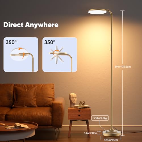 36W LED Floor Lamp (Gold)