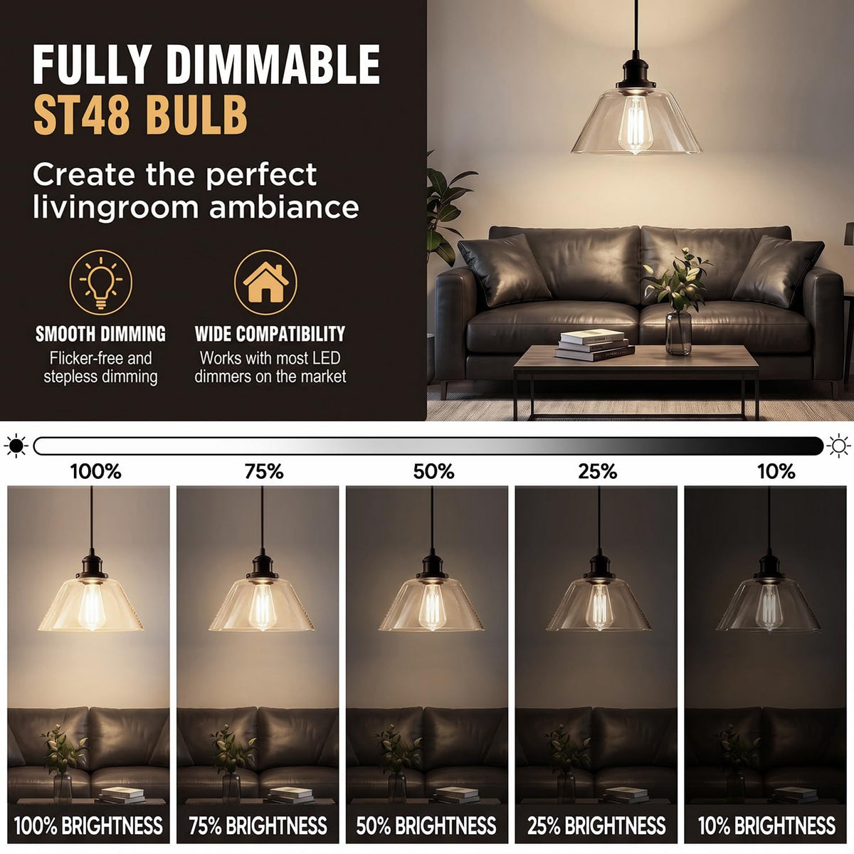 Vintage LED Edison Light Bulbs (6)