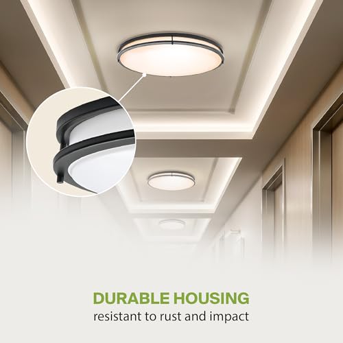 LED 24" Oval Flush Mount Lighting (Black)