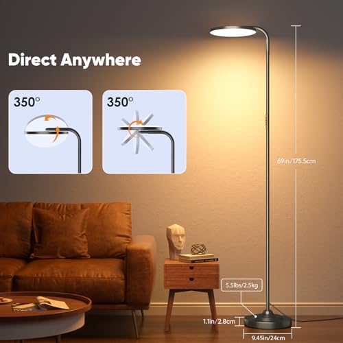 36W LED Floor Lamp (Black)